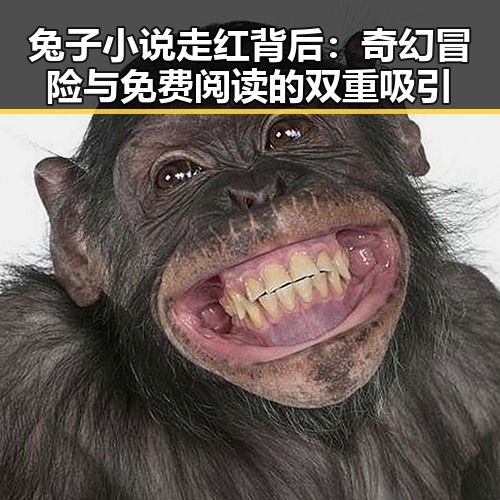 兔子小说走红背后：奇幻冒险与免费阅读的双重吸引